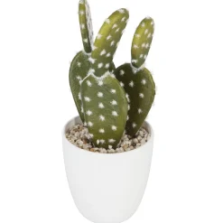 SUCCULENTE CACTUS H.18CM