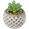SUCCULENTE POT CIMENT D.8X9CM