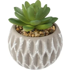 SUCCULENTE POT CIMENT D.8X9CM