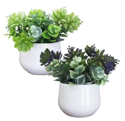 SUCCULENTE POT PLASTIQUE BLANC H.18CM