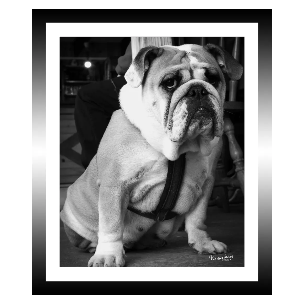 TABLEAU 25X30CM BAGUETTE NOIRE BULLDOG