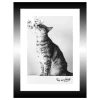 TABLEAU 15X20CM BAGUETTE NOIRE CHAT