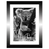 TABLEAU 15X20CM BAGUETTE NOIRE KOALA
