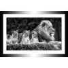 TABLEAU 30X20CM BAGUETTE NOIRE LIONS
