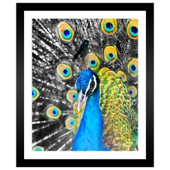 TABLEAU 25X30CM BAGUETTE NOIRE MAT PAON
