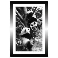 TABLEAU 20X30CM BAGUETTE NOIRE PANDA