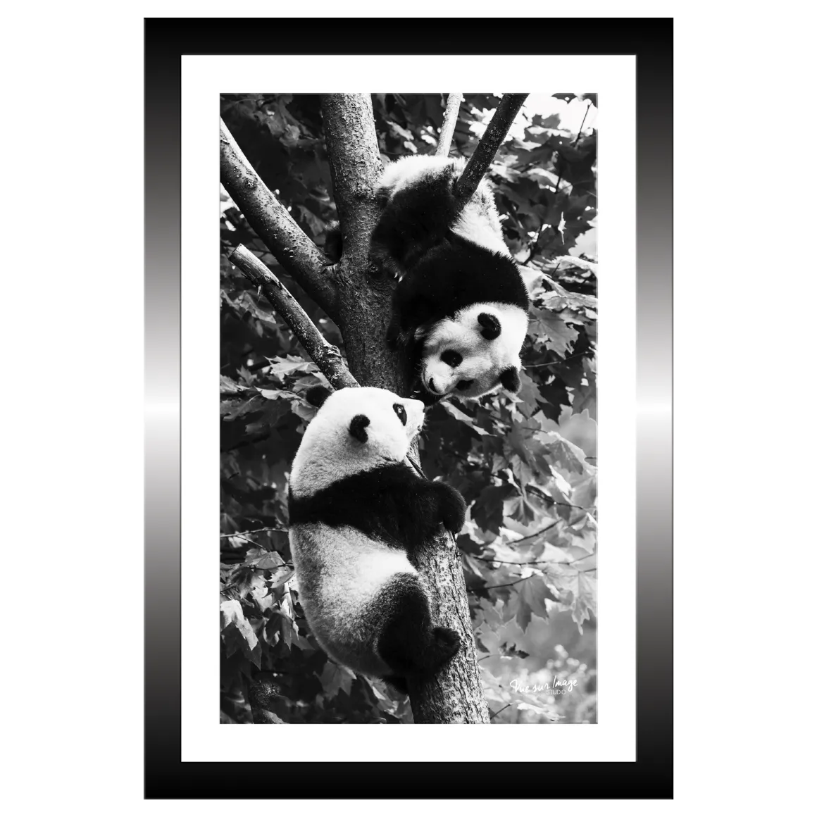 TABLEAU 20X30CM BAGUETTE NOIRE PANDA