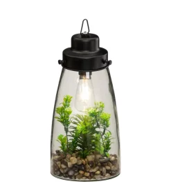 TERRARIUM AMPOULE PLANTE H.31CM