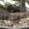TERRARIUM BONSAI H.19CM