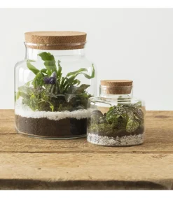 TERRARIUM H.13CM