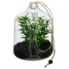 TERRARIUM PLANTE A SUSPENDRE NALY H.15CM