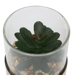 TERRARIUM PLANTE SKY H.8.5CM