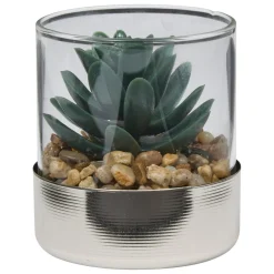 TERRARIUM PLANTE SKY H.8.5CM