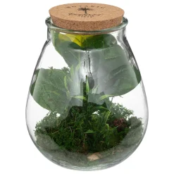 TERRARIUM VERRE BOTANIC H.29.5CM