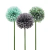 TIGE ALLIUM H.62CM