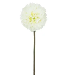 TIGE ALLIUM H63CM BLANC