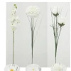 TIGE BLANCHES GERBERA ORCHIDEES ZINNIA ET ROSE
