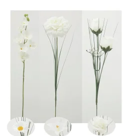 TIGE BLANCHES GERBERA ORCHIDEES ZINNIA ET ROSE