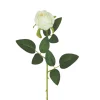 TIGE BOUTON ROSE H.63CM BLANC