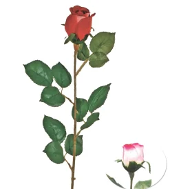 TIGE BOUTON ROSE H77CM ROSE
