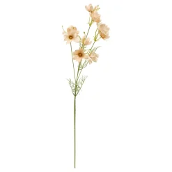 TIGE COREOPSIS PHOEBE H.88CM