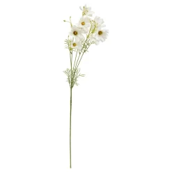TIGE COREOPSIS PHOEBE H.88CM