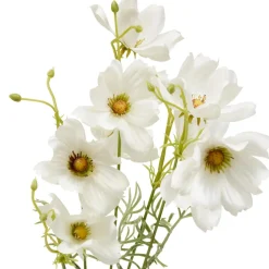 TIGE COREOPSIS PHOEBE H.88CM