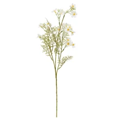 TIGE COSMOS PHOEBE H.62CM