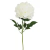 TIGE DE PIVOINE H63CM BLANC