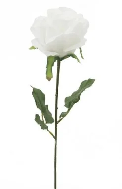 TIGE DE ROSE H.72CM BLANC