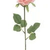 TIGE DE ROSE H.72CM ROSE