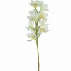 TIGE D ORCHIDEE 10 FLEURS H77CM CREME