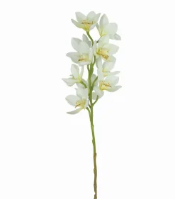 TIGE D ORCHIDEE 10 FLEURS H77CM CREME