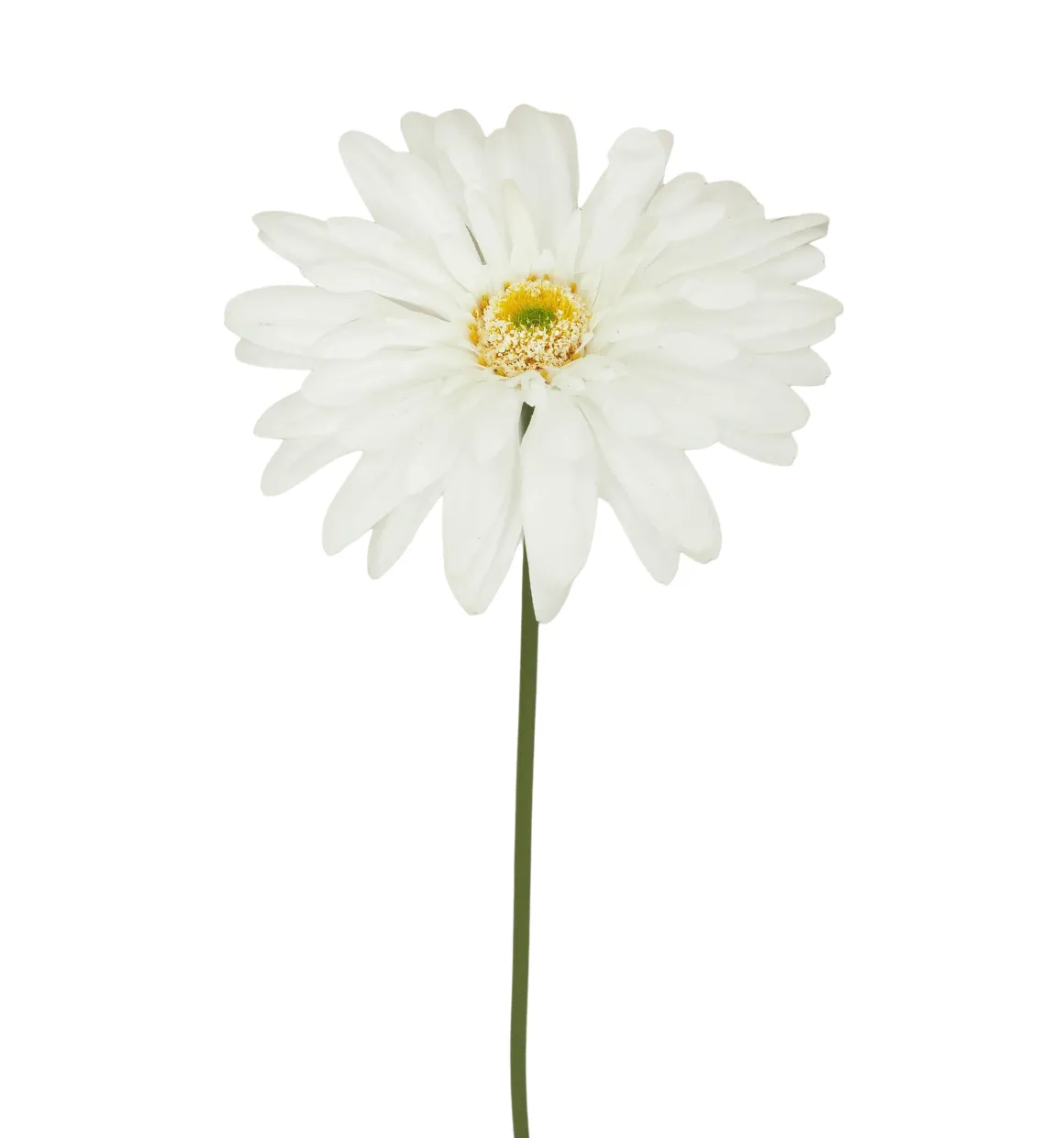 TIGE GERBERA H.60CM BLANC