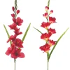 TIGE GLAIEUL ROUGE