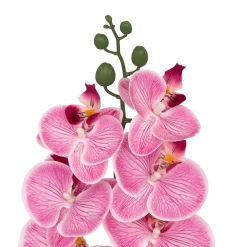 TIGE ORCHIDEE GISELE H.95CM