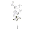 TIGE POMMIER BLANC H.75CM