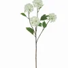 TIGE POMPONS 4 FLEURS H.75CM BLANC