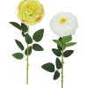 TIGE RENONCULE H.70CM BLANC ET VERT