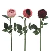 TIGE ROSE BOULE H.72CM BORDEAUX MAUVE ROSE