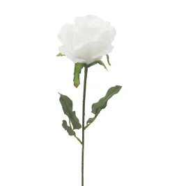 TIGE ROSE H.72CM BLANC
