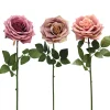 TIGE ROSE H.72CM CHARME