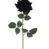TIGE ROSE H60CM NOIR