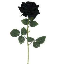 TIGE ROSE H60CM NOIR