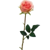 TIGE ROSE H.70CM ROSE