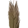 TIGES CYCAS PALM X3 PIECES ORIGINES H.100CM