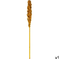 TIGES SECHEES NATUREL OCRE