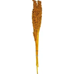 TIGES SECHEES NATUREL OCRE