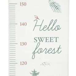 TOISE FORET