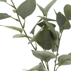 VASE EUCALYPTUS ET CORDE H.45CM